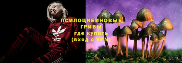 ешки Волоколамск