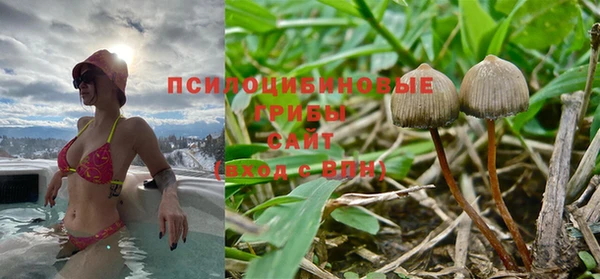 ешки Волоколамск